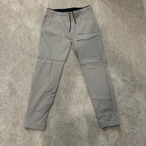 Men’s Theory Gray Pants, Large